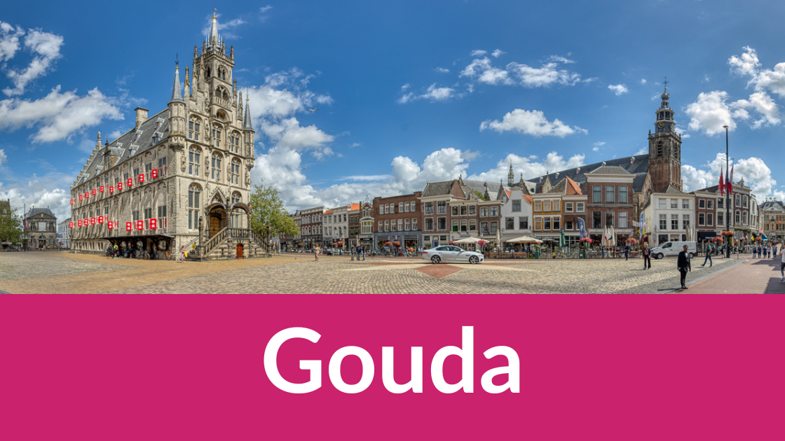 gouda